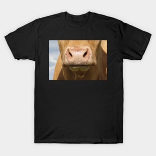 Moo Snout 3 T-Shirt